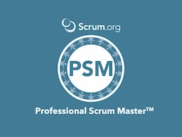 scrum master