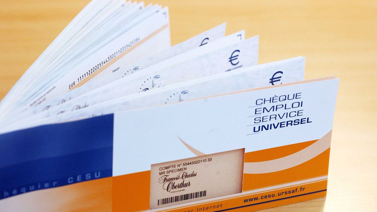 cheque cesu pour optimiser le revenu des consultants indépendants